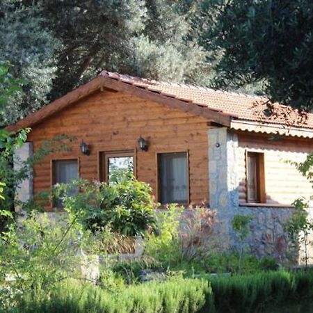 Datca Masal Gibi Екстериор снимка