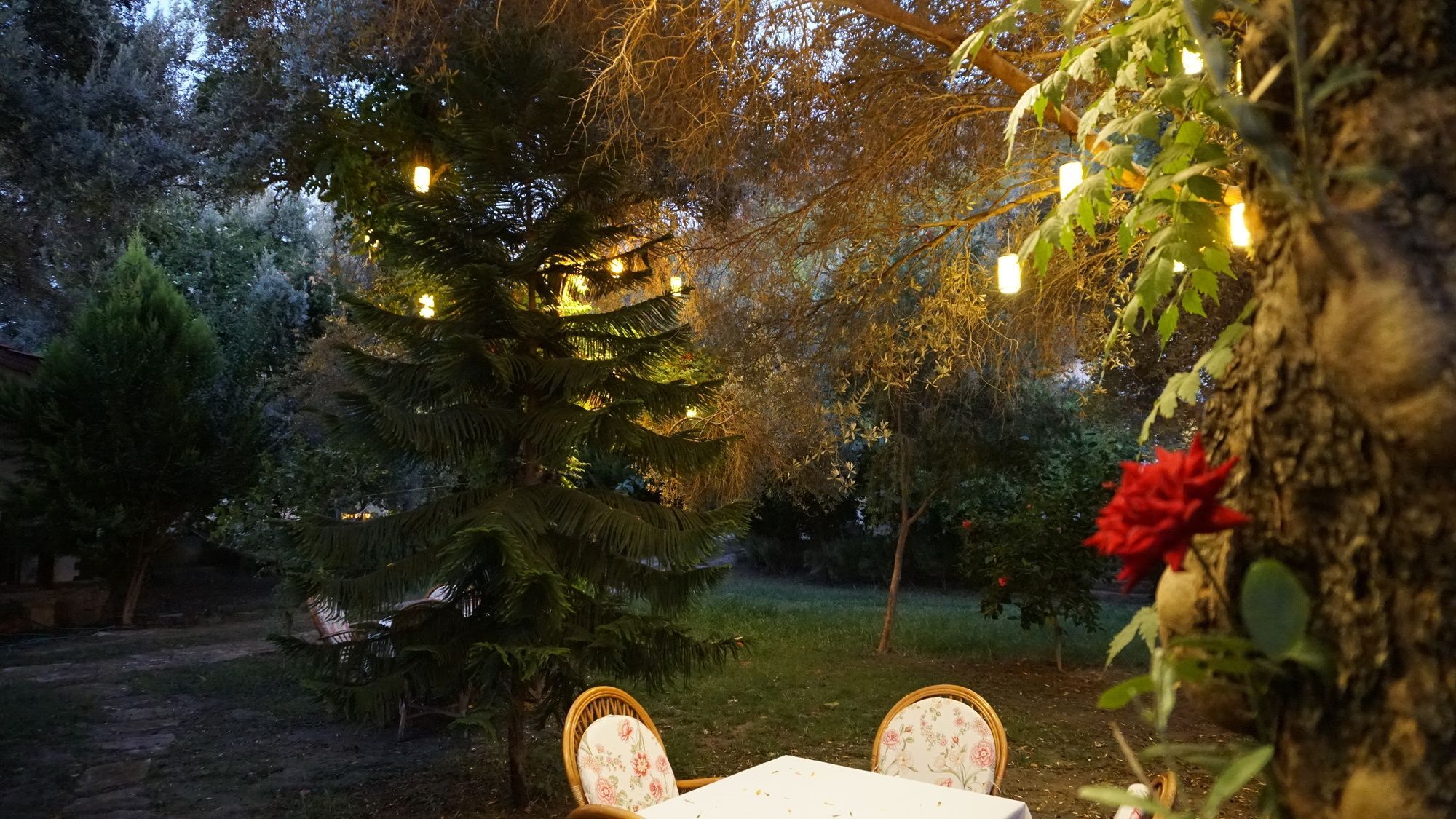 Datca Masal Gibi Екстериор снимка